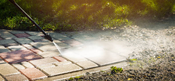 Animal Enclosure Cleaning in Nazareth College, NY